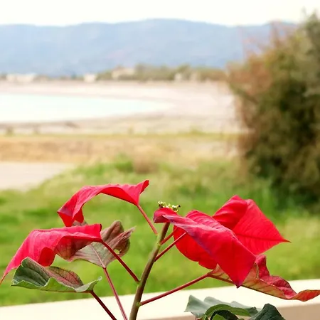 Sea Breeze Apartament *